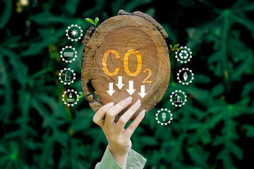 Reduce CO2 emission concept in the hand for environmental, global warming, Sustainable development...