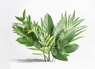 Various green tropical leaves  bunch on white table at wall background. Floral setting with palm...
