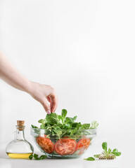 Woman hand preparing healthy food. Making healthy salad bowl with green lettuce leaves, tomatoes and oil in glass bowl at white wall background. Front view.