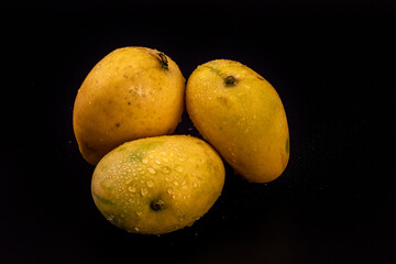 Mango isolated in white background - Shot in studio lights.