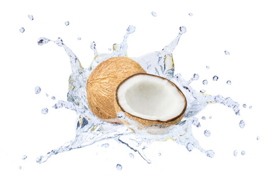 Coconut water splashing from brown coco nut fruit isolated on white background.