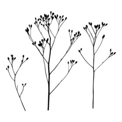 Dried flower icon set