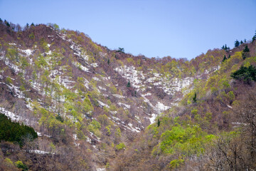 残雪と芽生えたばかりの黄緑色が美しい春の山
