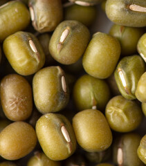 Mung beans as a background.