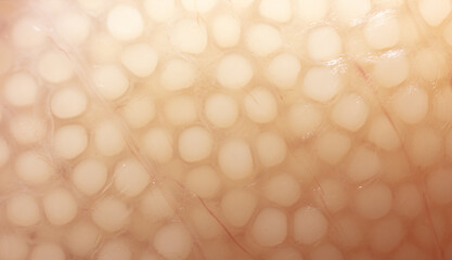 Close-up of fish caviar as a background.