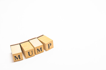 英単語　ブロック　MUMP