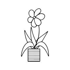 Potted houseplant. Simple black and white vector illustration, doodle style.