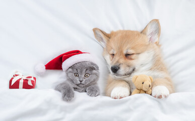 Cozy Pembroke welsh corgi puppy higging toy bear and tiny kitten wearing red santa hat sleep...