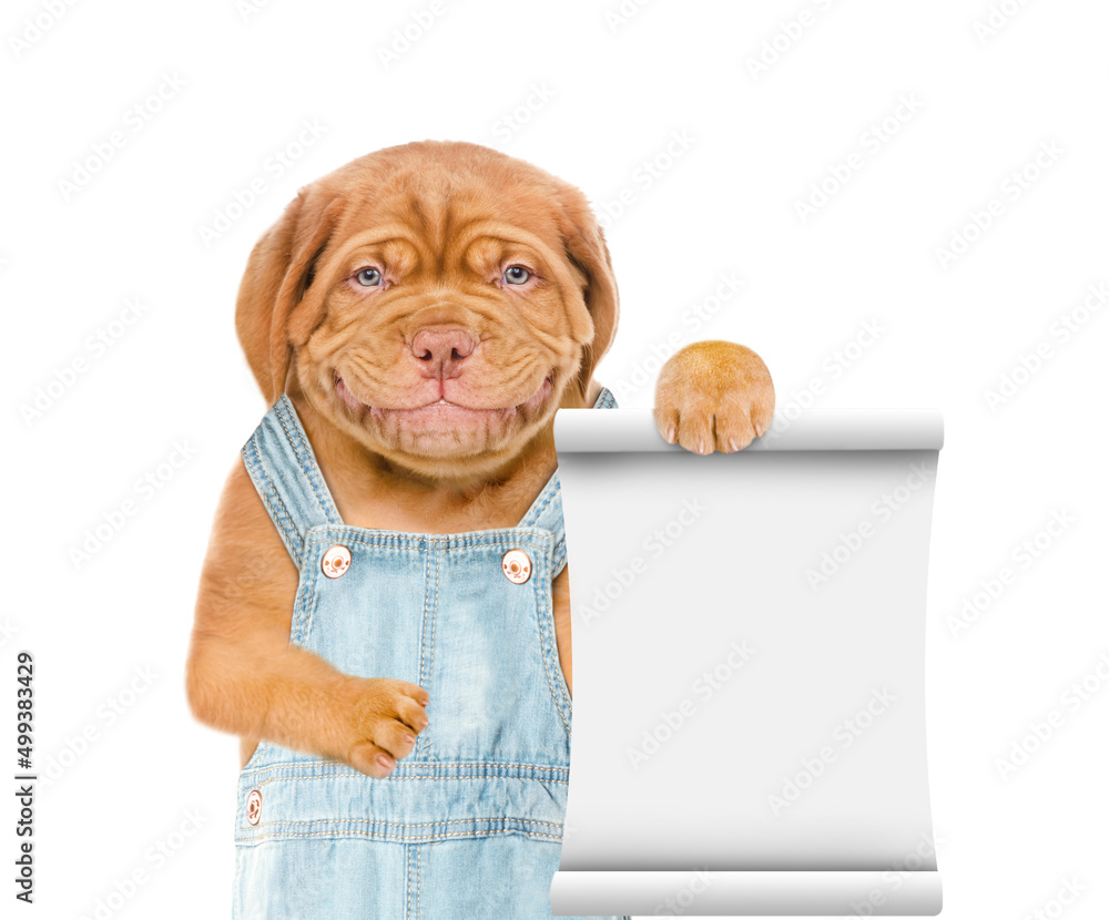 Aufkleber puppy wearing overalls shows empty list. isolated on white background