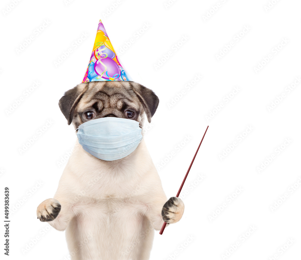 Aufkleber puppy wearing party cap and medical protective mask points away on empty space. isolated on white ba