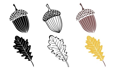 Oak leaves and acorns outline, in silhouette and colorful isolated on white background. Autumn design elements. Vector illustration. © Logvin art