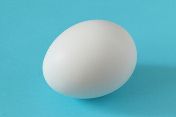 White chicken egg on colored paper. Easter chicken egg.