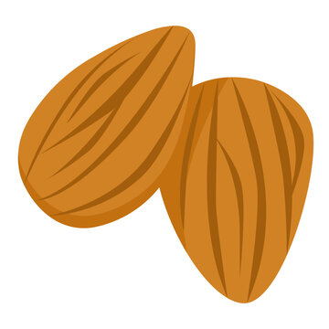 almonds flat icon