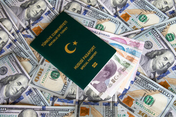 turkey-istanbul 02.17.2019 turkey passport and money