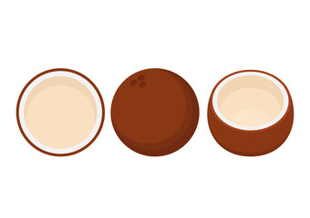 Half coconut. Coconut vector on white background.