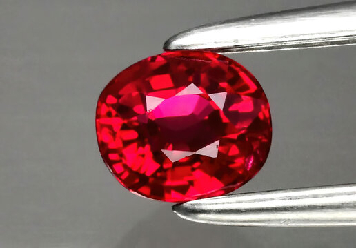 Natural precious red ruby in tongs on a gray background