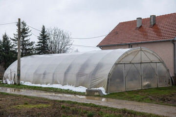 Homemade Old Greenhouse on a small farm next to the house. Rural life in the countryside. Private garden. Healthy food.