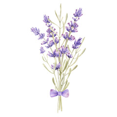 Watercolor lavender flower bouquet. Provence floral arrangement. Vintage garden. Botanical clipart. Hand painted illustration for greeting card.