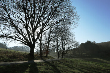 Rural landscape in morning in early springtime (Kadenbach, Germany)
