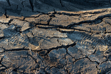 Cracked earth soil as a texture background.