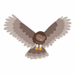 Vector illustration of an owl in flight in a flat style, isolated on a white background.