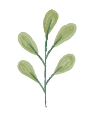 Spring Leaf Illustration with Watercolor Style
