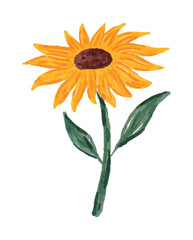 Watercolor Illustration of Sun Flower