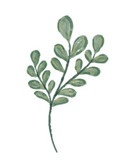 Watercolor Illustration of Plant Sprout