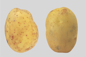potatoes isolated on white background