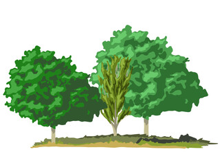 Vector  tree elements for environment and garden