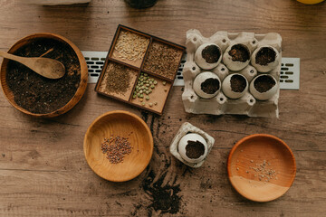 Close up of little girl planting seeds in a eggshells