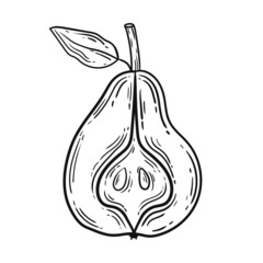 Pear, hand drawn, black lines, vector illustration isolated on white background.