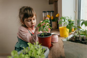 Home gardening with kids on the kitchen windowsill