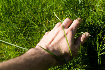 Human hand man and on grass green