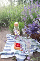 picnic in lavender field