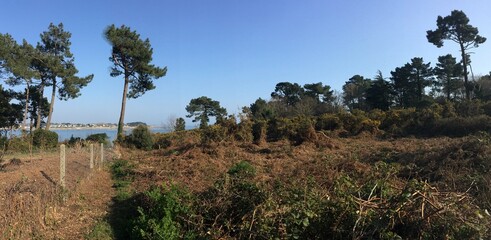 le long du sentier Bigouden en bord de mer &agrave; Combrit/Sainte-Marine Cornouaille Finist&egrave;re Bretagne France	