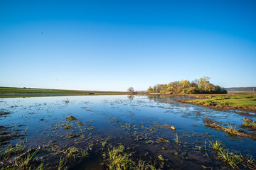 landscape with lake