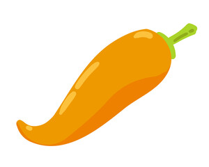 Vector illustration of a pepper. Whole vegetable. Suitable for any designs and decorations related to organic food, vegetarian, vegan and garden.