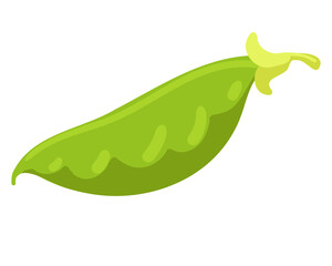 Vector illustration of a peas. Whole vegetable. Suitable for any designs and decorations related to organic food, vegetarian, vegan and garden.