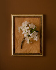 A twig of cherry blossoms in a frame on a vintage brown background