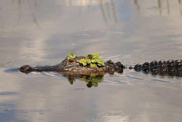 All Dressed up for the big date!