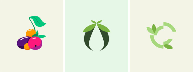 A set of three vector logos a bunch of fruits and vegetables with leaves, olive oil, letter O and C. Vector illustration