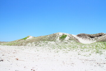 美しい吹上浜の砂丘