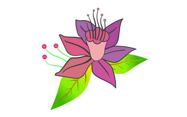 Fototapeta na wymiar Creative flower vector illustration
