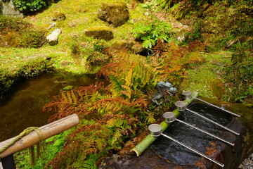 Flowing water into fountain Pool for washing hands to cleanse at Yoshimizu Shrine (Yoshimizu-jinja) on mount Yoshino in Nara Prefecture, Japan - 吉水神社 手水舎 吉野山 奈良 日本
