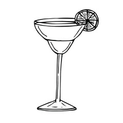 Margarita cocktail vector illustration, hand drawing sketch