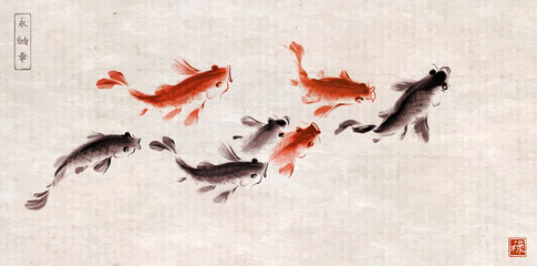 School of koi carps on vintage rice paper background. Traditional oriental ink painting sumi-e. Symbol of good fortune, success and prosperity. Hieroglyphs - eternity, freedom, happiness, well-being