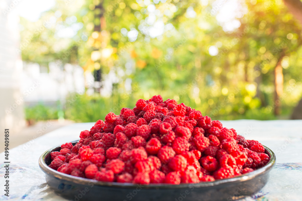 Sticker Raspberries background. Fresh red berries of ripe raspberries	