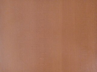 Fototapeta premium brown background