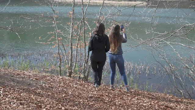 Escursione nel bosco 